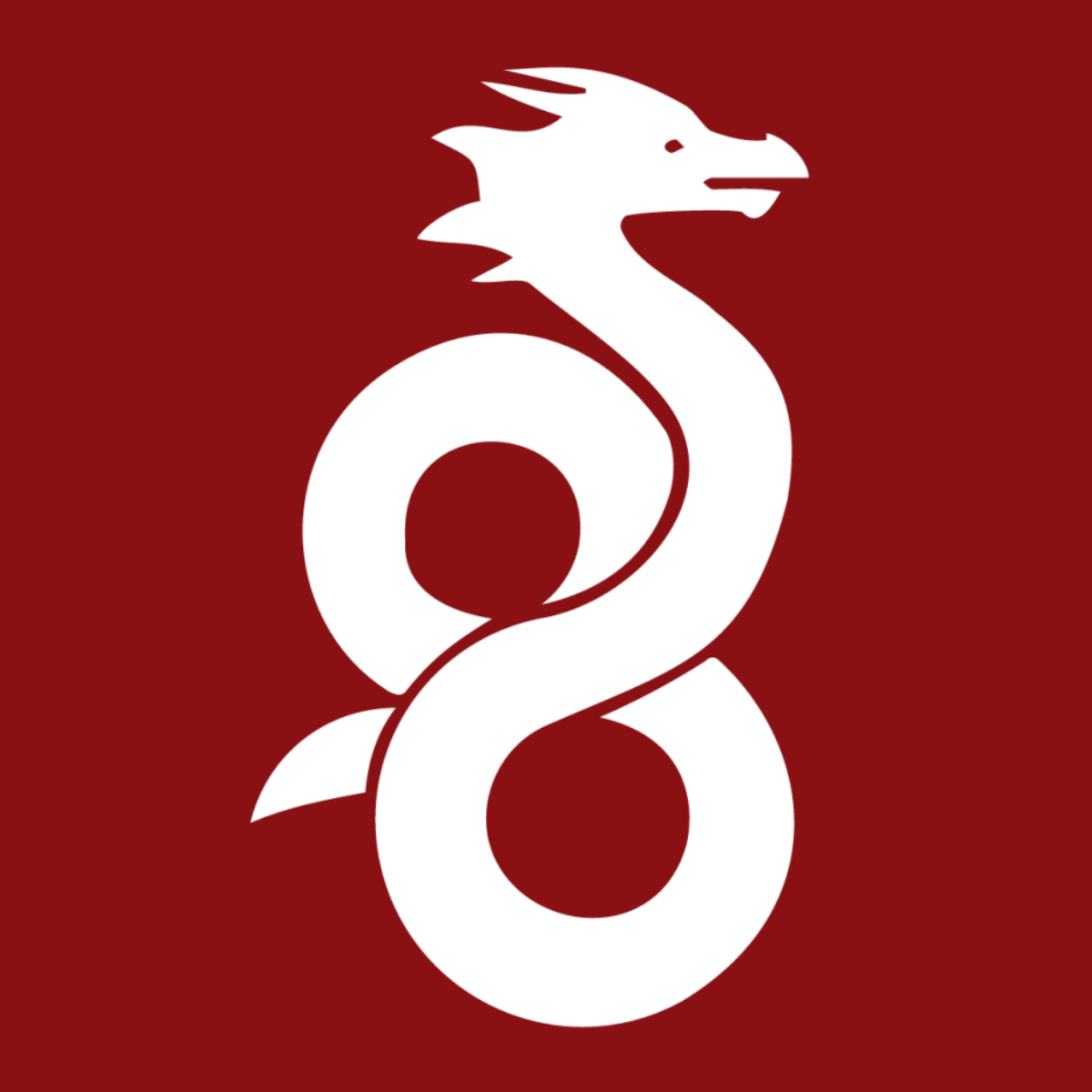 WireGuard VPN Logo WireGuard VPN 1200x1200 png